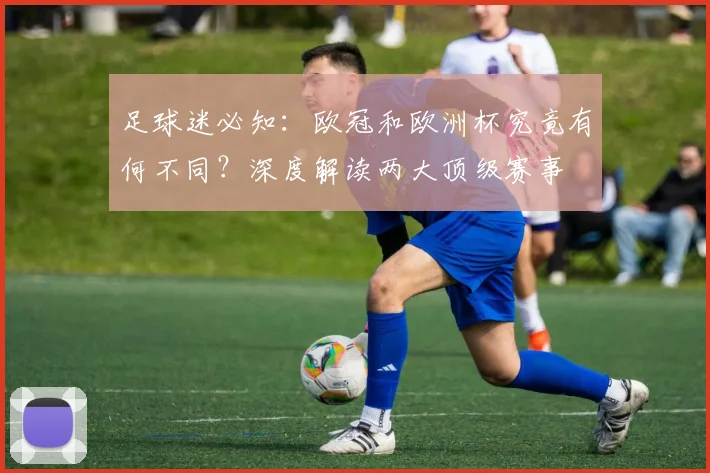 足球迷必知:欧冠和欧洲杯究竟有何不同?深度解读两大顶级赛事