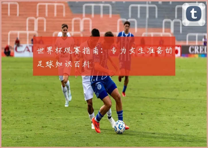世界杯观赛指南:专为女生准备的足球知识百科
