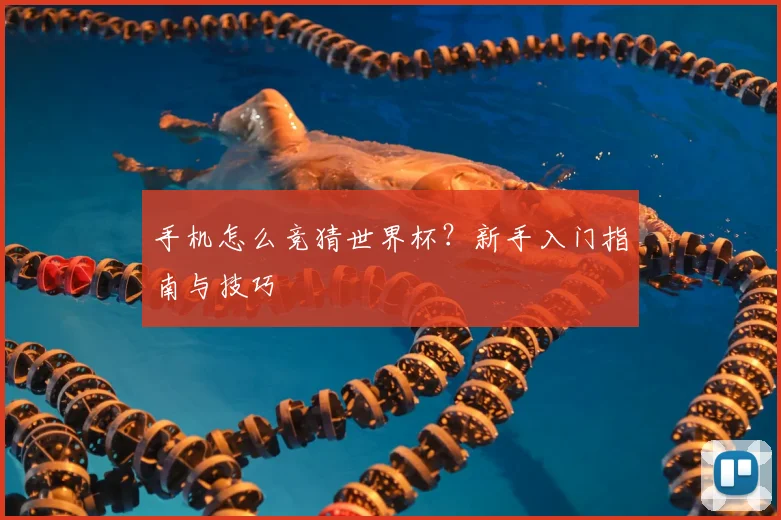 手机怎么竞猜世界杯？新手入门指南与技巧