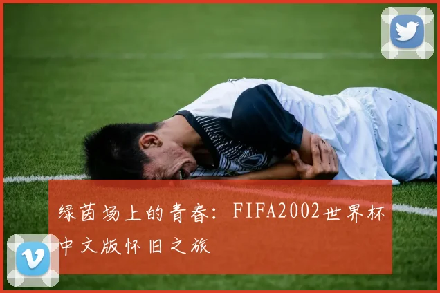 绿茵场上的青春：FIFA2002世界杯中文版怀旧之旅