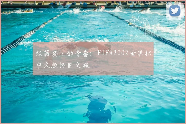 绿茵场上的青春：FIFA2002世界杯中文版怀旧之旅