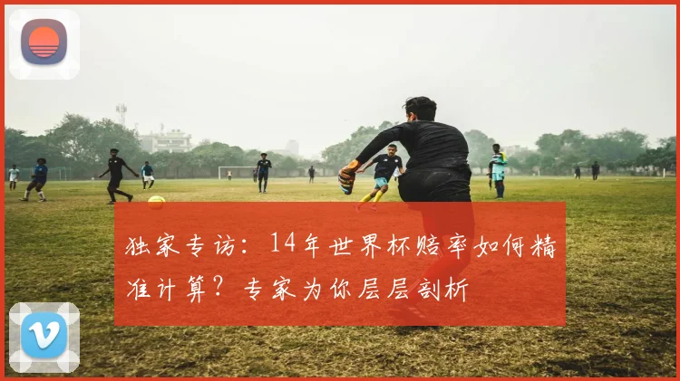 独家专访：14年世界杯赔率如何精准计算？专家为你层层剖析
