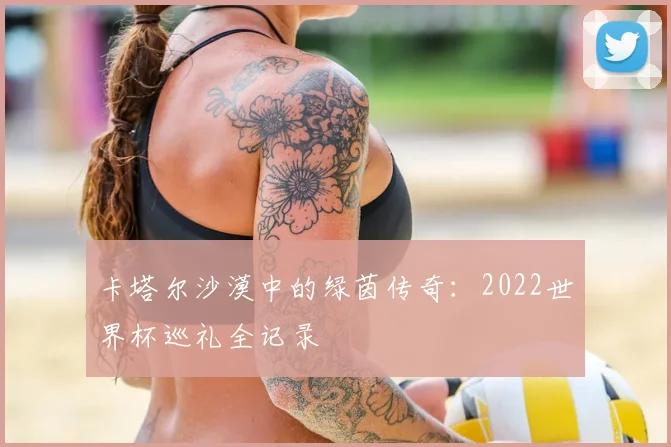 卡塔尔沙漠中的绿茵传奇：2022世界杯巡礼全记录