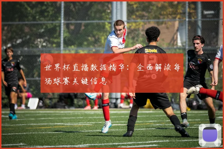 世界杯直播数据精华：全面解读每场球赛关键信息