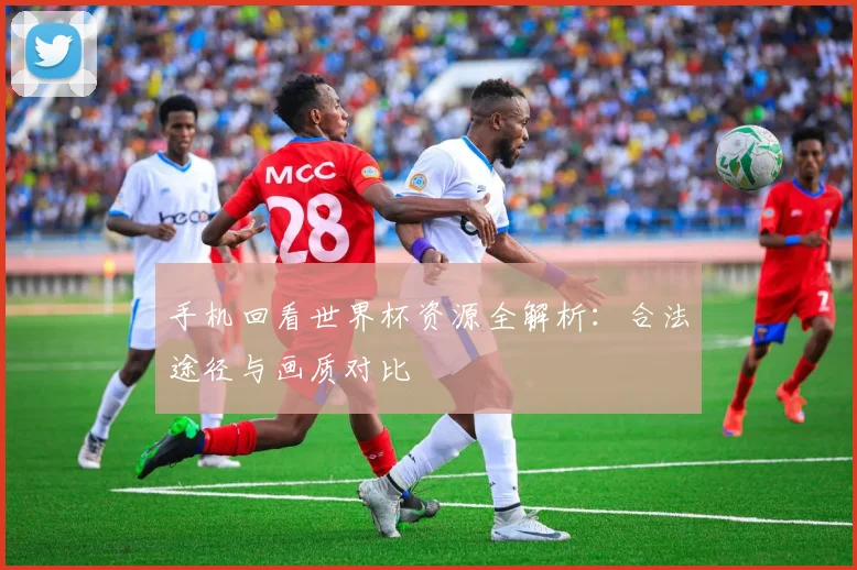 手机回看世界杯资源全解析：合法途径与画质对比