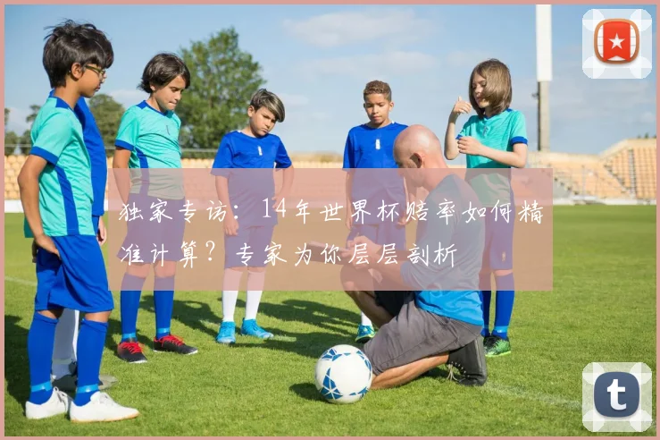 独家专访：14年世界杯赔率如何精准计算？专家为你层层剖析