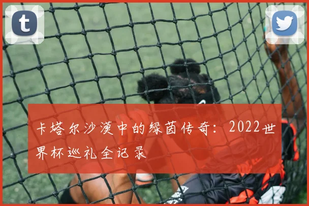 卡塔尔沙漠中的绿茵传奇：2022世界杯巡礼全记录